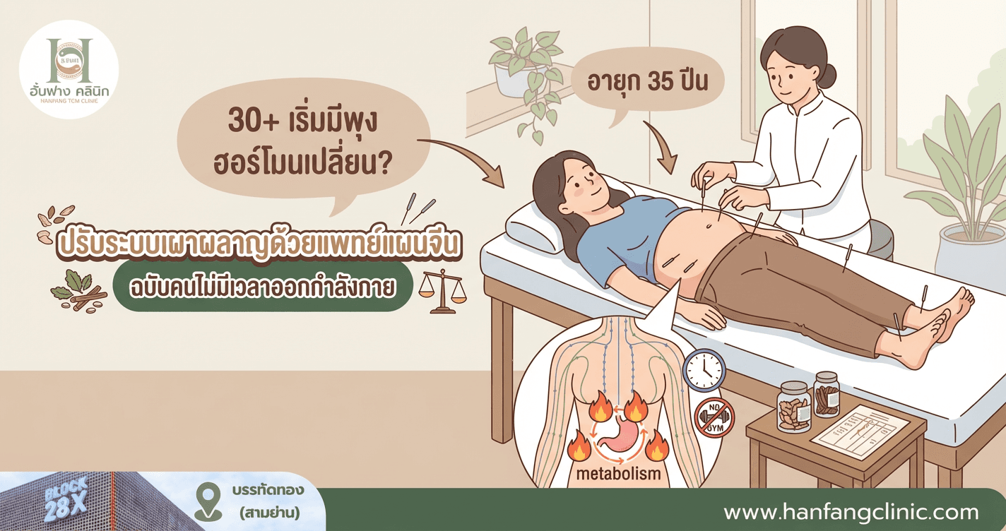 30+ เริ่มมีพุง ฮอร์โมนเปลี่ยน? ปรับระบบเผาผลาญด้วยแพทย์แผนจีน ฉบับคนไม่มีเวลาออกกำลังกาย